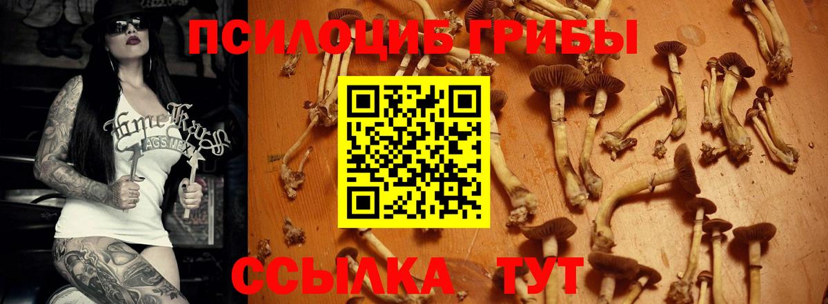 NBOMe Жигулёвск