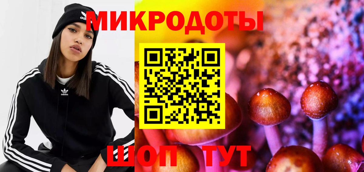 Псилоцибиновые грибы Psilocybine cubensis Жигулёвск