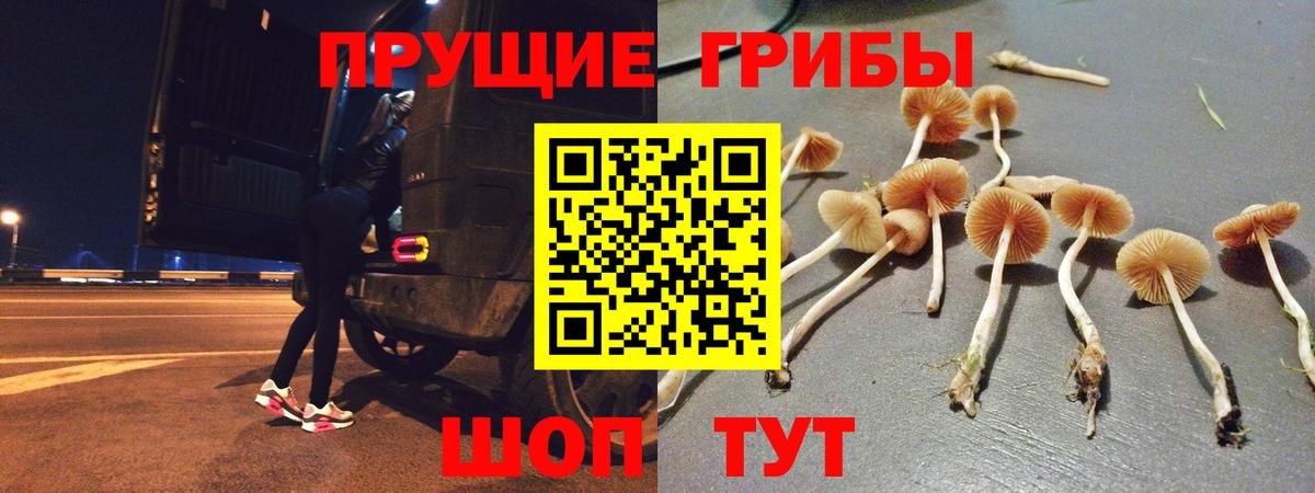 даркнет сайт  Вход с VPN  Жигулёвск  Псилоцибиновые грибы GOLDEN TEACHER 
